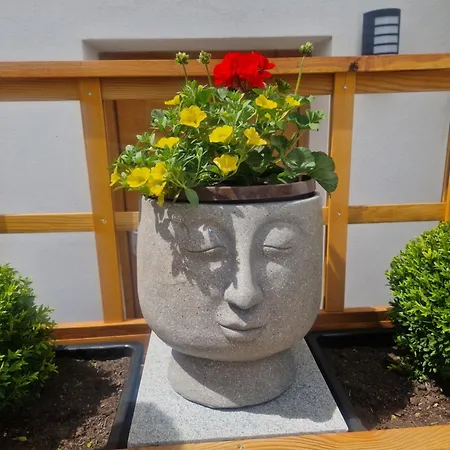 Schlatter Appartamento